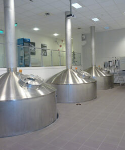 Krones-Steinecker-Hupmann-brewhouse-lauter-tune-mash-filter-Meur