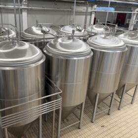 Krones-Steinecker-Hupmann-brewhouse-lauter-tune-mash-filter-Meura