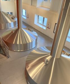 Krones-Steinecker-Hupmann-brewhouse-lauter-tune-mash-filter-Meura